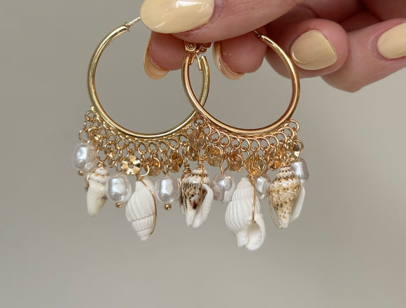 Seashell Earrings